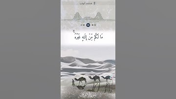 القارئ الشيخ:محمد أيوب _(رحمه الله)_[تلاوة هادئة]_