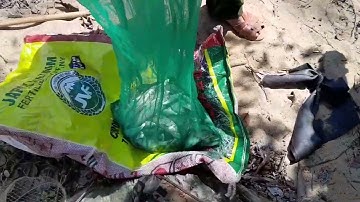 Bữa cơm trong rừng @rong-tv