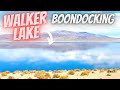 Walker Lake Recreation Area  - Hawthorne Nevada