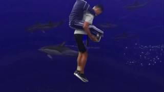 Shooting Star Meme Must Watch