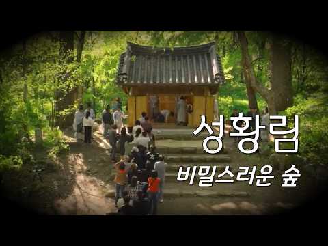 1년에 단 두 번 출입 가능한 원주의 어느 곳, 원주 성황림 (SUB)