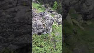 Tepeden gölcük tarafından Yukarı sayık aladağı görüntüsü