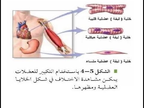 فيديو: اليوغيون العاديون: فلاش موب في كارديف