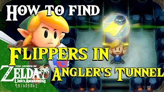How to get Flippers in Angler's Tunnel in Link's Awakening