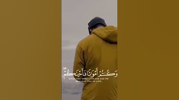 القارئ الشيخ سليمان العتيبي ♥️‼️💯‼️