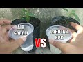 Kita Coba! Garam vs NPK Untuk PUPUK CABE Berbuah Lebat