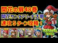 【ドラクエタクト】開花の扉48巻 開花サンタアリーナ活用!速攻5ターン攻略! 立ち回り解説