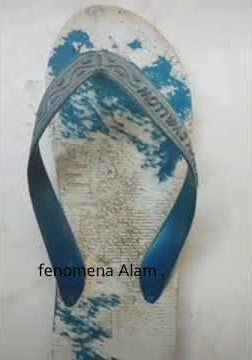 Fenomena alam