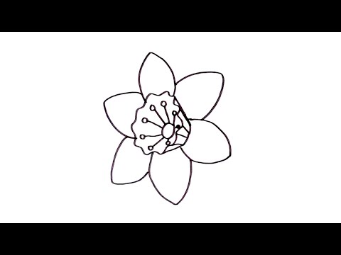 Video: Kako Nacrtati Narcis