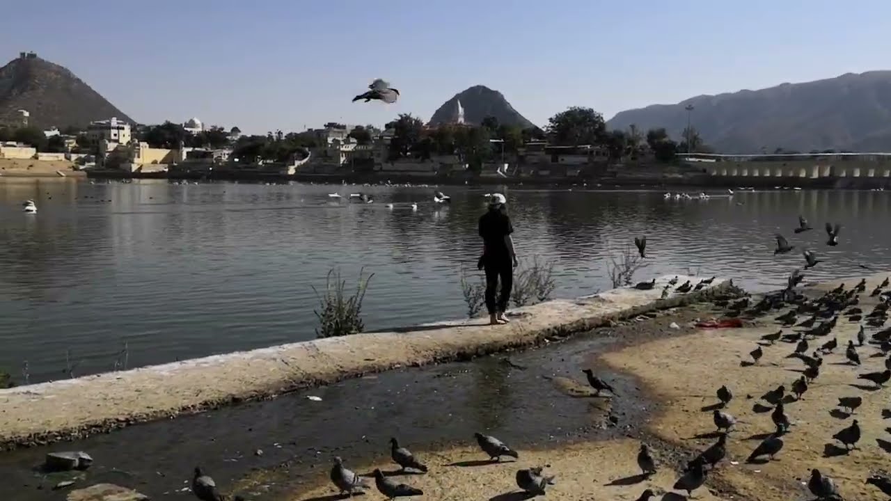 Волшебство озера Пушкар | Повсюду голуби | Раджастан