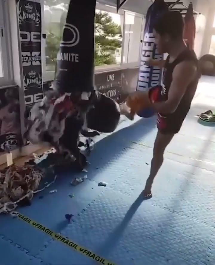 Bag didn’t stand a chance ?