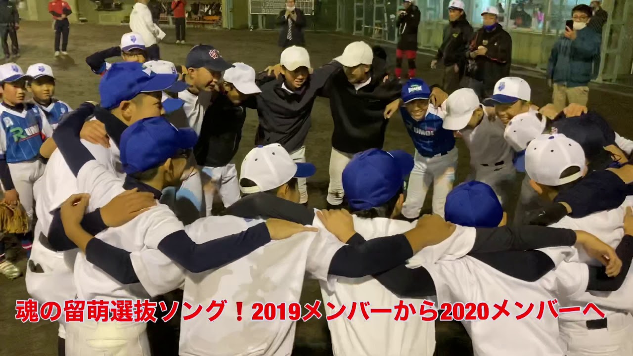 すべての動画