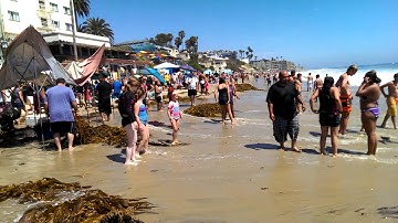 Huge waves flooded Laguna Beach caused panic July6