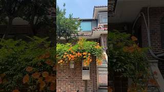 40년된 구옥 셀프리모델링 과정🏠👏🏻#구옥리모델링 #구옥 #구옥인테리어 #셀프인테리어 #셀프페인트 #욕조페인트 #방수페인트 #욕조셀프 #전원주택 #오늘의집 #주택