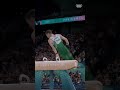 Rhys McClenaghan secured the Ireland’s first Olympic artistic gymnastics medal at #Paris2024