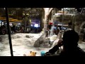 MGM Grand Lion Habitat in Las Vegas Nevada - YouTube