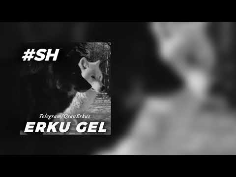 #SH - Erku Gel // 2025 // ԱՇ  - Երկու Գել  // 2025 (Chelac)