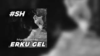 #SH - Erku Gel // 2025 // ԱՇ - Երկու Գել // 2025 (Chelac)