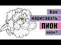 Как нарисовать ПИОН хной?  | Эскиз для тату