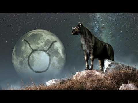 კურო - მიწის ნიშნის პირველი წარმომადგენელი (ზოდიაქო)