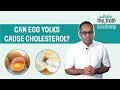 Can egg yolks cause cholesterol are egg yolks good or bad  the whole truth academy recap