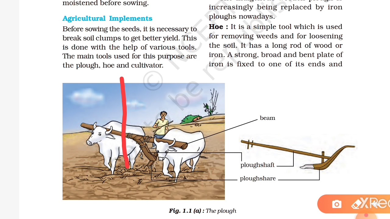 Crop production and management Part2 science class 8 Chapter 1