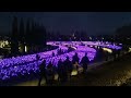 Парк Галицкого в Краснодаре ночью на Новый год 2023