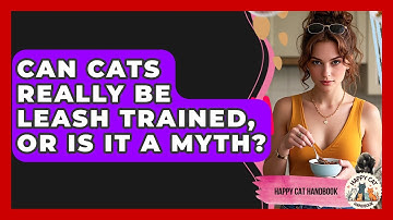 Can Cats Really Be Leash Trained, Or Is It A Myth? - Happy Cat Handbook