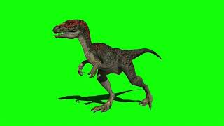 Green Screen Velociraptor 3 / Raptor hunting