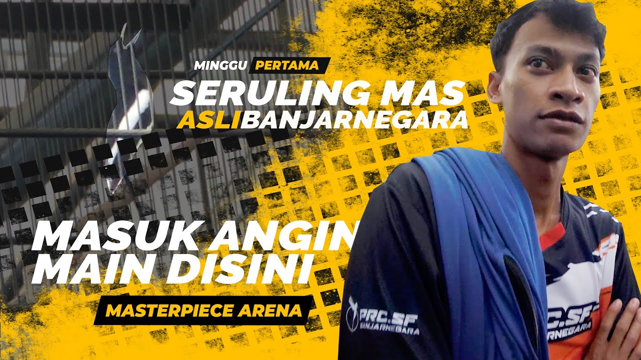 Dari BANJARNEGARA🤣Kacer Seruling Mas MASUK ANGIN di MASTERPIECE ARENA
