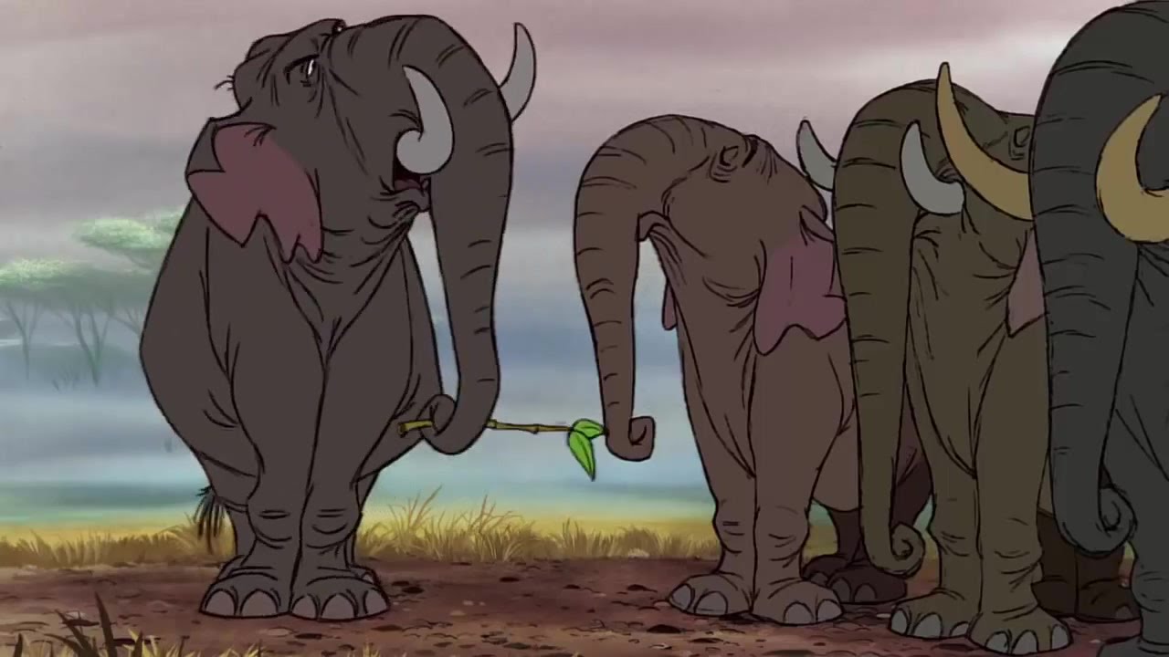 The Jungle Book ♪ Colonel Hathi and Mowgli HD ♥ Cartoon For Kids - YouTube