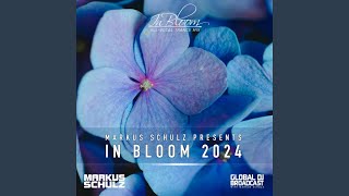 Till We Fade (In Bloom 2024)