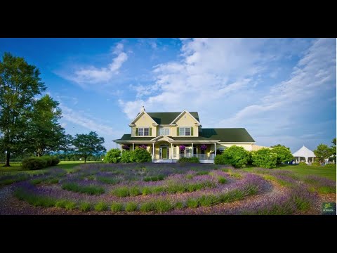 06/17/19 Bleu Lavande: The Largest Lavender Farm in Canada on 'Across The Fence'