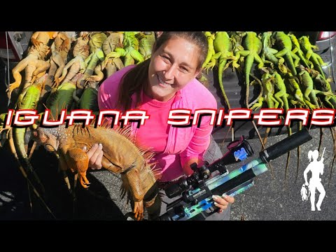 Shooting My Monthly 26 Iguana Quota in 2 Hours - YouTube