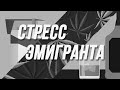 Алкоголь, наркота и другие радости эмигрантов-мужчин Новой Зеландии. В США, Канаде так же?!