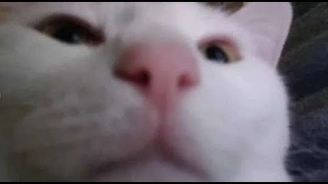 THIS KRUNKER MOD GIVES YOU AIMBOT!! #krunker