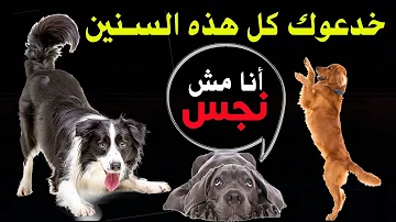 مامعنى وذ نكهه