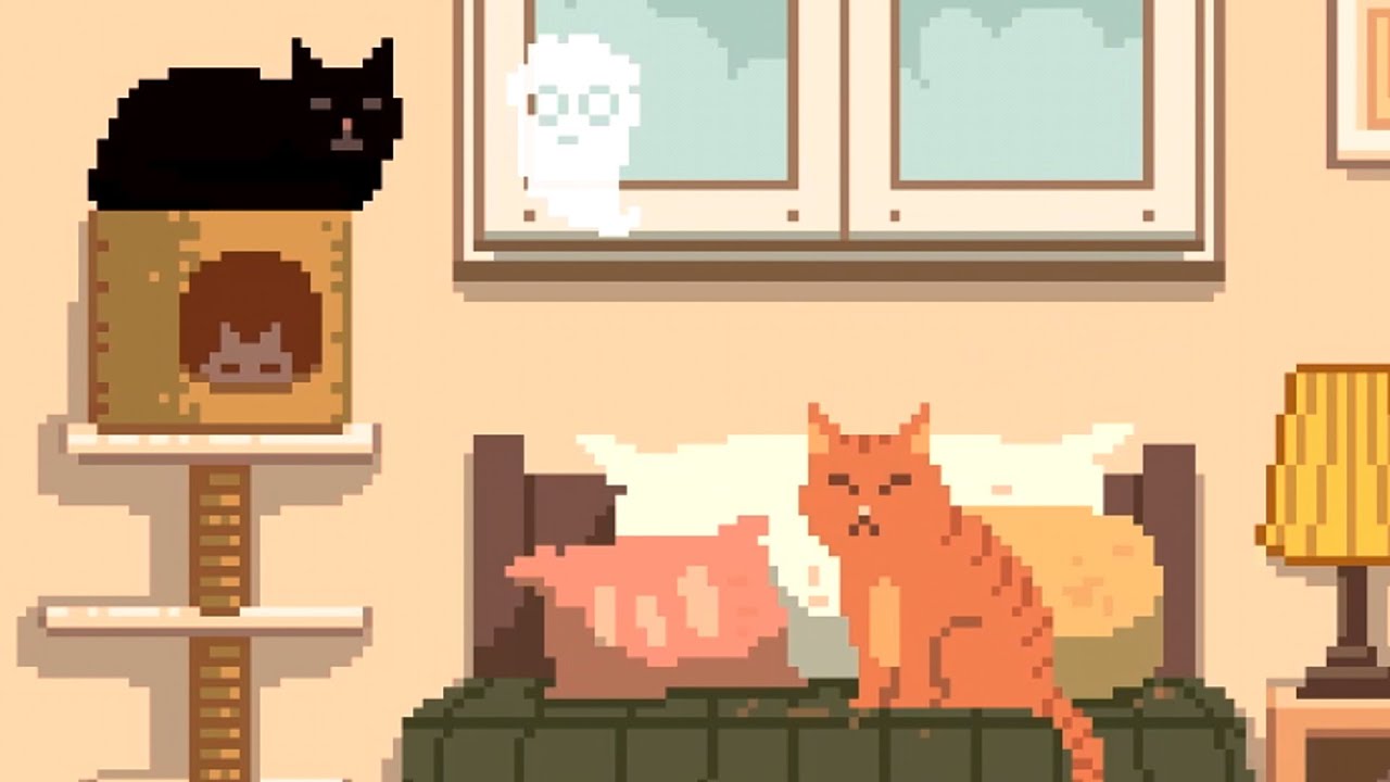 Six Cats Under Save A Bunch Of Cute Cats From A Impurrfect Outcome Six Cats Under Save A Bunch Of Cute Cats From A Impurrfect Outcome