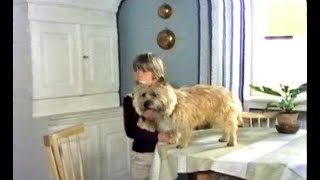 Karlsson på taket - Bara en liten hund