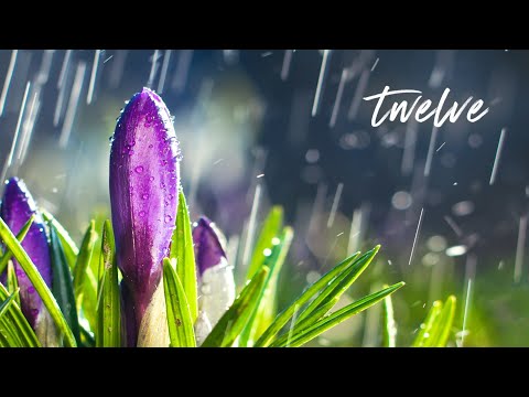 Beautiful Piano Music - Relaxing Music, Rain Sounds, Stress Relief, Sleep Music (Emma)