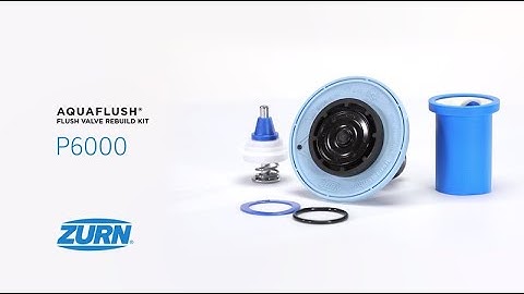 AquaFlush Flush Valve Rebuild Kit P6000