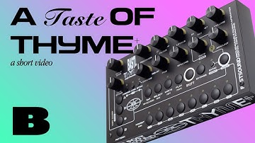 Bastl Thyme+ Quickie : robot assisted time crimes (it