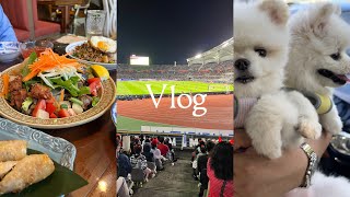 (SUB) Vlog harian. Tonton pertandingan sepak bola, makanan Asia, pertunjukan makanan ringan anjing screenshot 5