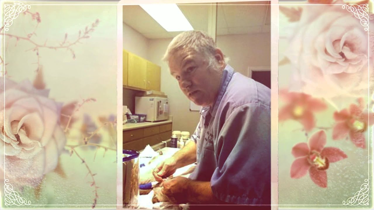 Walton Way Veterinary Clinic Augusta, GA Veterinary Revi YouTube