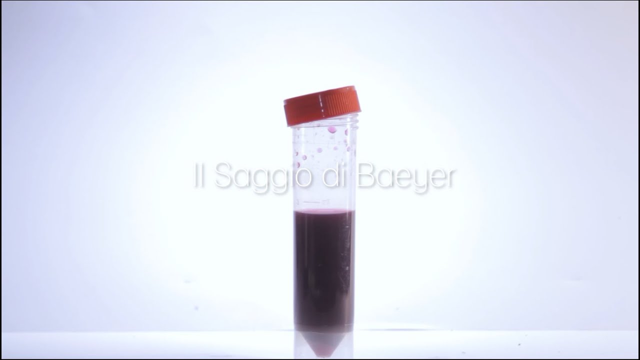 Saggio di Baeyer - In Laboratorio di Chimica!