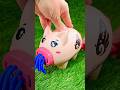 Animal Toy Oddly Satisfying