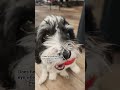 her name is demi