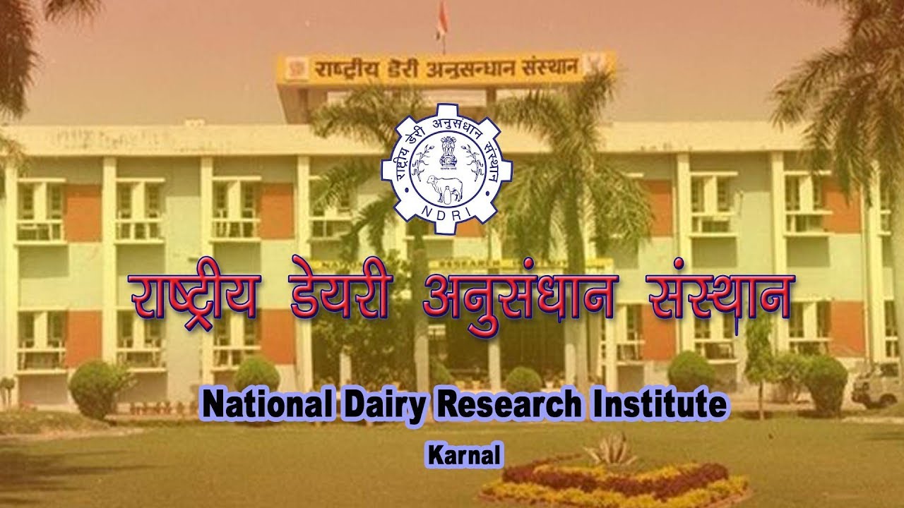 national-dairy-research-institute-ndri