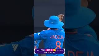 Greatest delivery in each player in cricket #hazlewood #cricket #ipl #alexhales #chrislynn #brettl