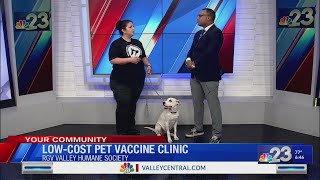 Low cost pet vaccine clinic at RGV Humane Society